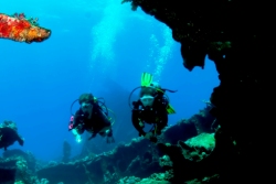 El Gouna Dive Centre - Red Sea